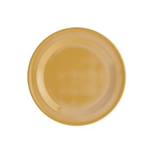 PLATO DE MELAMINA EXTENDIDO DE 7 1/4 PG COLOR AMARILLO NARROW RIM FOUNDATIONS ACOPA (PRECIO POR 12 PIEZAS)