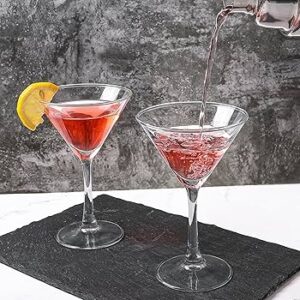 COPA MARTINI PLASTIC SAN 10 OZ (PRECIO POR 24 PIEZAS)