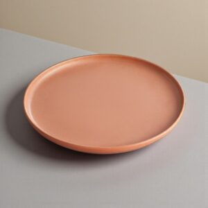 PLATO EXTENDIDO DE 9 PG (22.8 CM) TERRA COTTA MATE PANGEA ACOPA CERAMICA (PRECIO POR 12 PIEZAS)