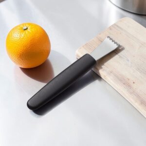 RALLADOR DE CITRICOS ACERO INOX MANGO PLASTICO 6PG - IMPORTADO